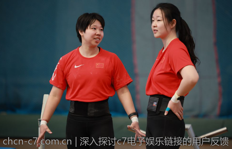 深入探讨c7电子娱乐链接的用户反馈